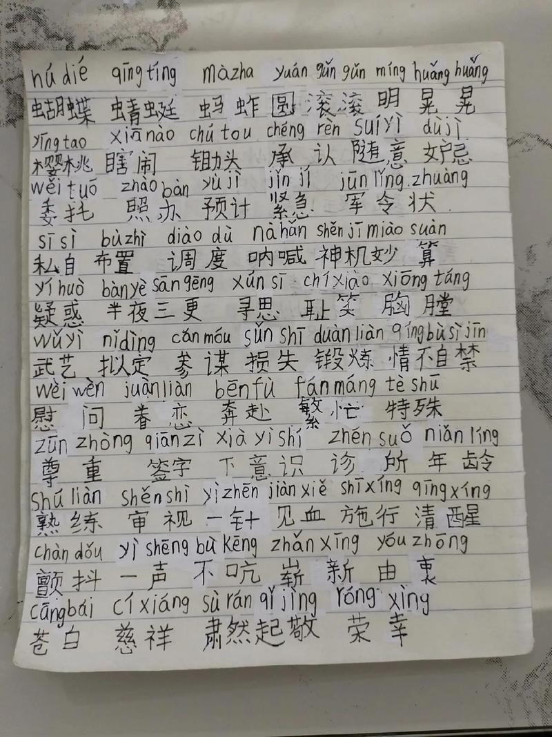 摘抄拼音(摘抄怎么写)